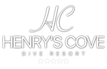 Henry's Cove Roatan